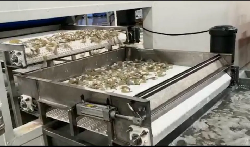 Báscula dinámica en línea de producción